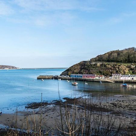 Rock Cottage - 3 Bedroom Holiday Home - Fishguard Extérieur photo
